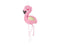 Flamingo pinata-Partydeluxe